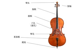 這些樂(lè)器，就算化成灰我也認(rèn)識(shí)